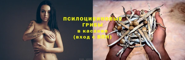 мескалин Арсеньев