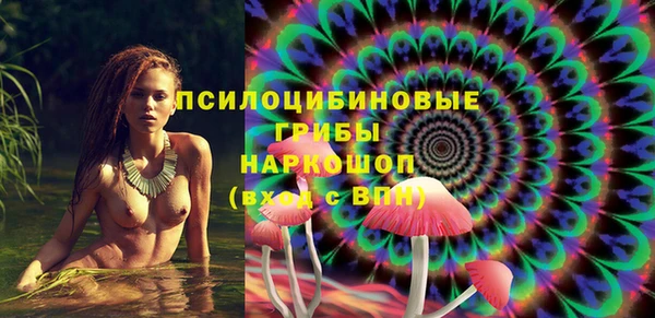 круглые Аркадак
