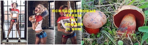 меф Нефтегорск